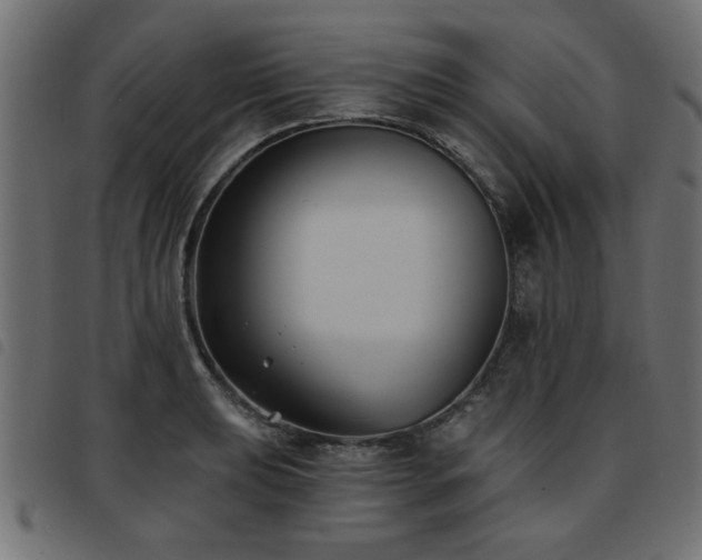 X0000093451039200710121350