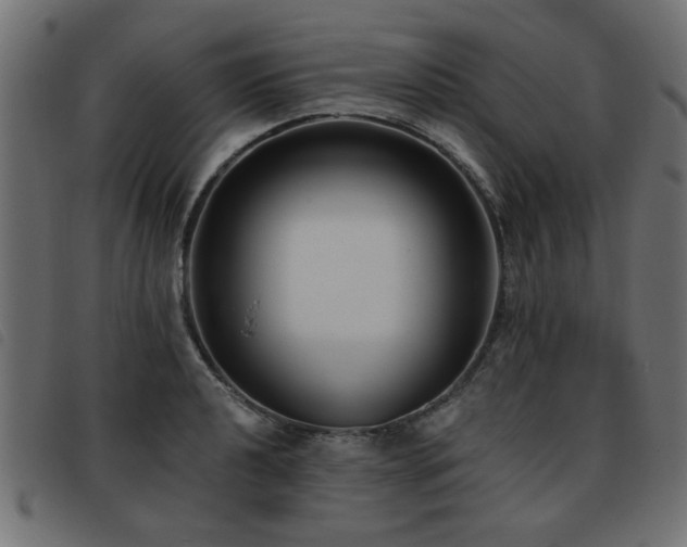 X0000093451040200710121350