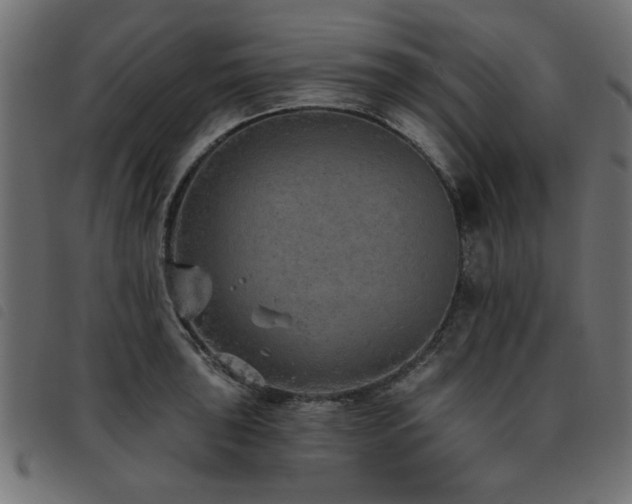 X0000093451043200710121350