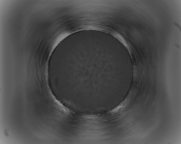 X0000093451048200710121350