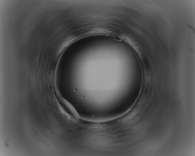 X0000093451049200710121350