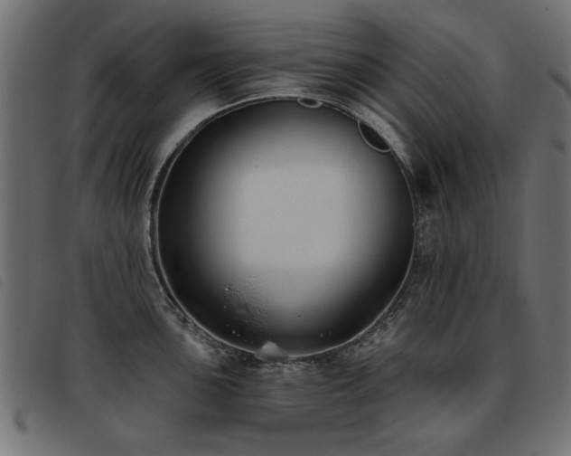 X0000093451051200710121350