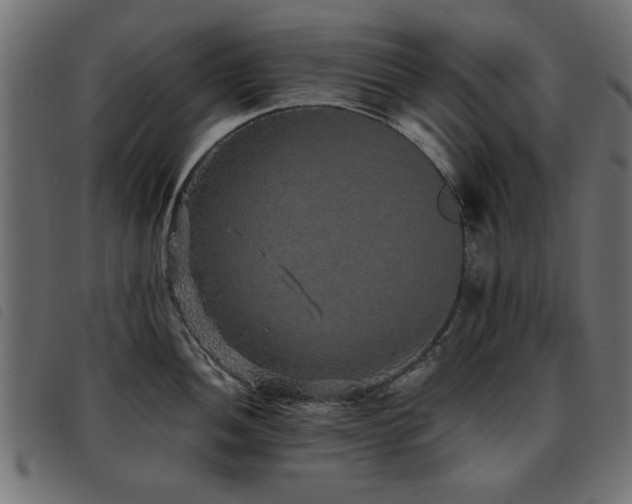 X0000093451052200710121350