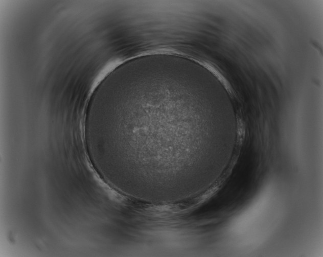 X0000093451054200710121350