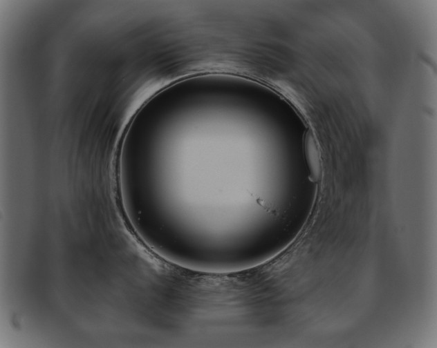 X0000093451056200710121350