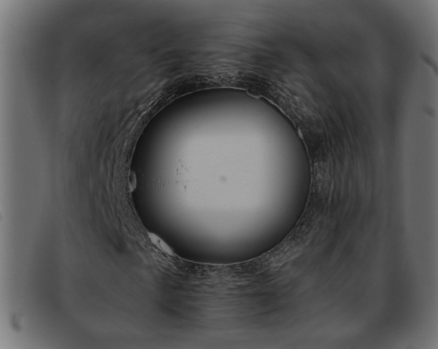X0000093451057200710121349