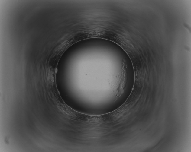 X0000093451058200710121349
