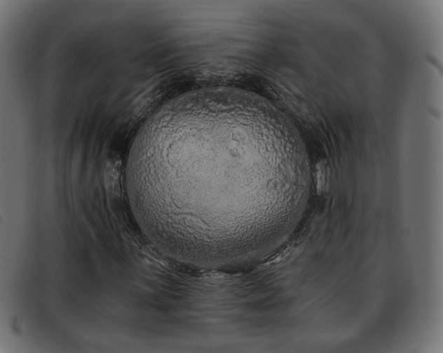 X0000093451059200710121349