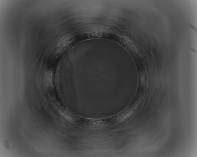 X0000093451060200710121349