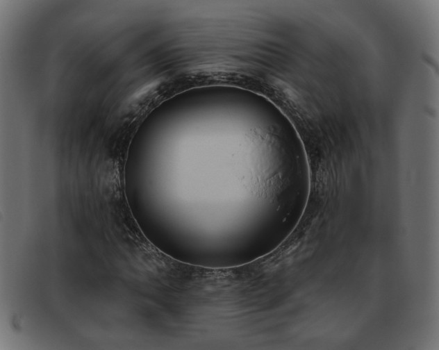 X0000093451062200710121349