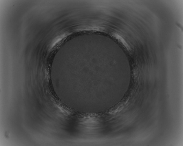 X0000093451064200710121349
