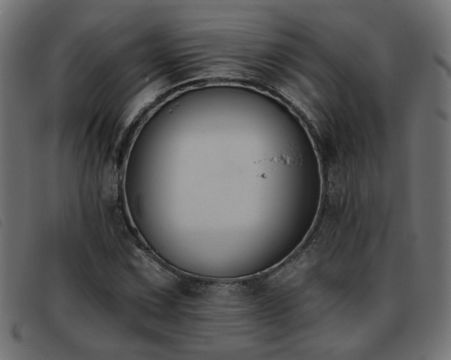 X0000093451067200710121349