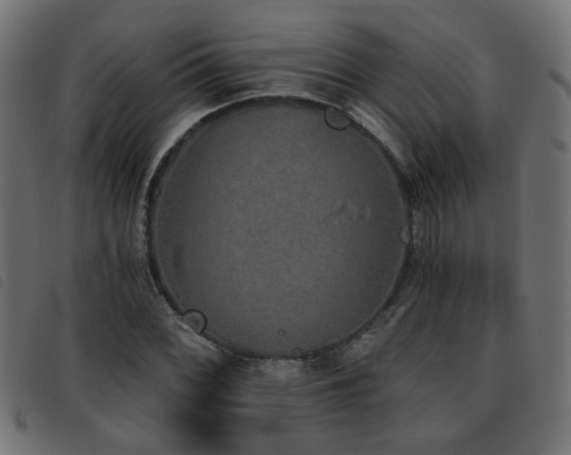 X0000093451068200710121349