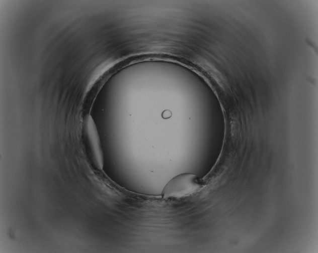 X0000093451069200710121349