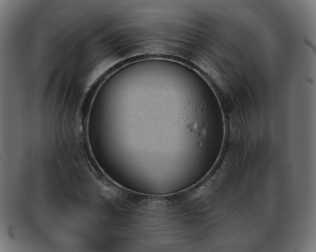 X0000093451070200710121349