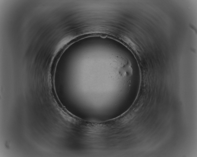 X0000093451072200710121349