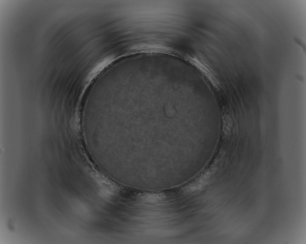 X0000093451074200710121349