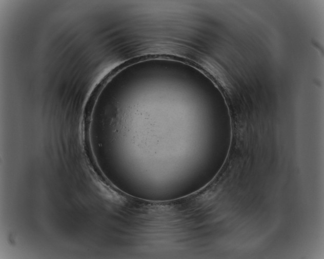 X0000093451076200710121349