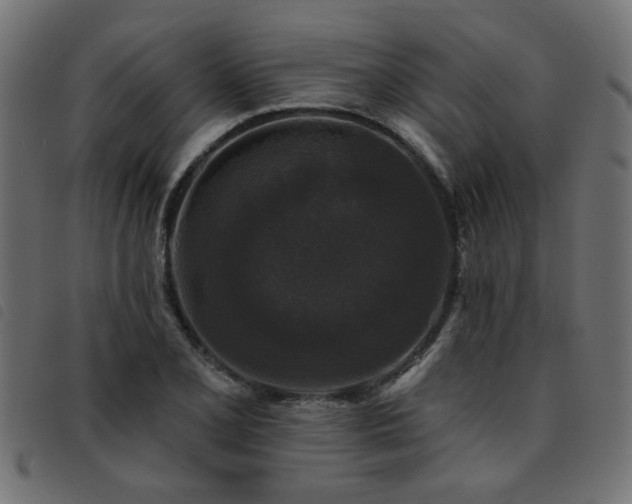 X0000093451077200710121349