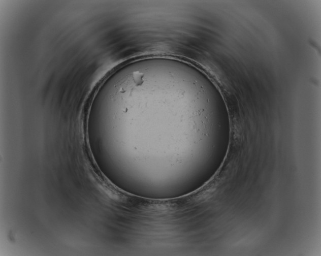 X0000093451078200710121349