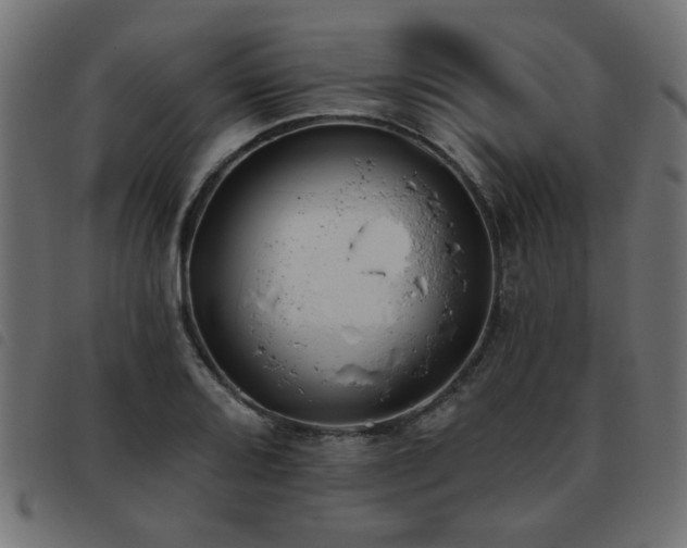 X0000093451080200710121349