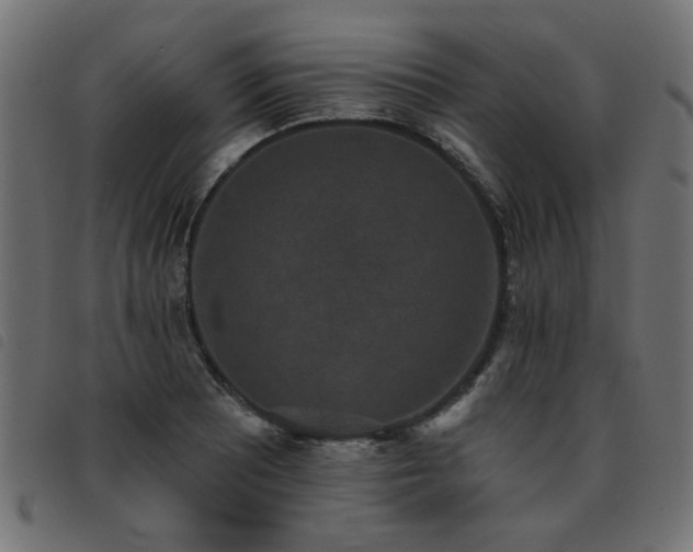 X0000093451081200710121349