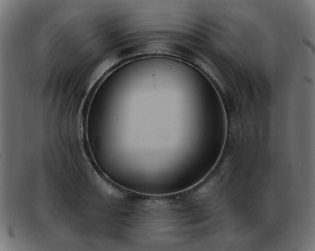 X0000093451082200710121349