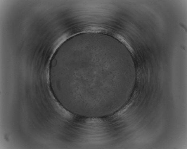 X0000093451083200710121349