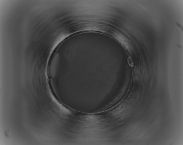 X0000093451084200710121349
