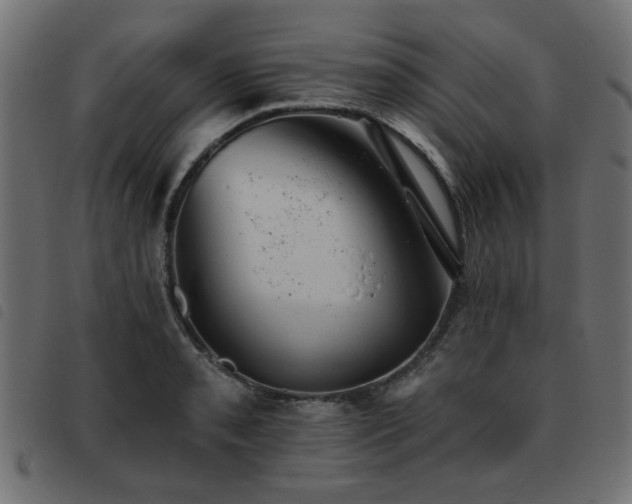 X0000093451085200710121349