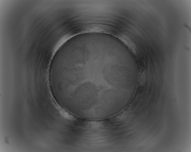 X0000093451086200710121349