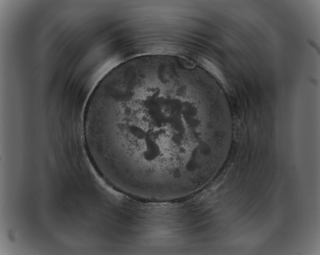 X0000093451087200710121349