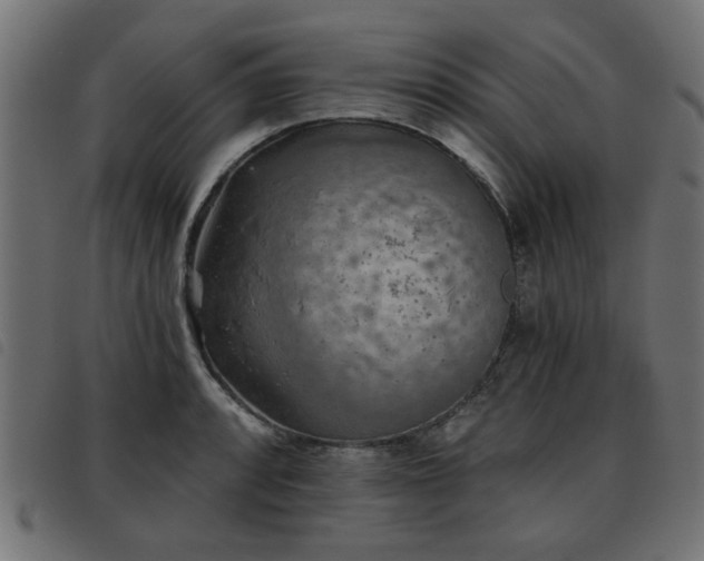 X0000093451088200710121349