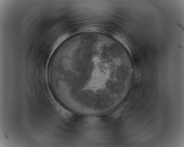 X0000093451090200710121349