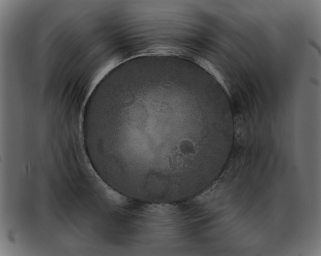 X0000093451091200710121349