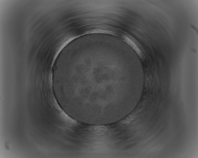 X0000093451092200710121349