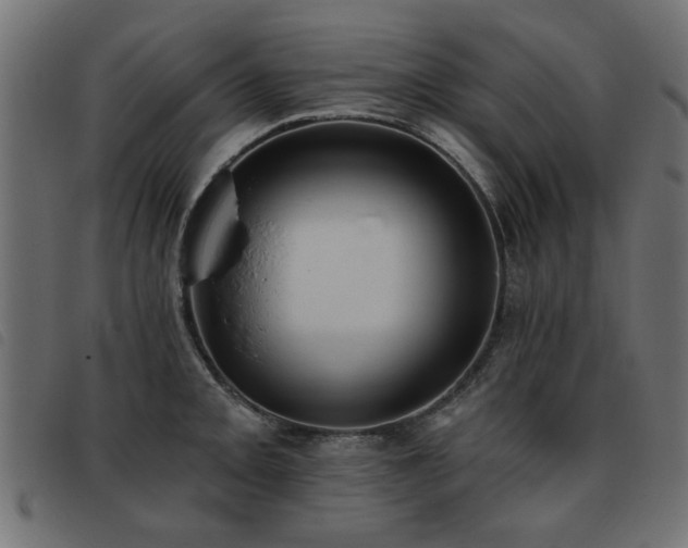 X0000093451093200710121349