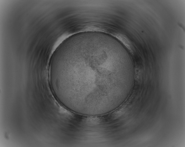X0000093451094200710121349