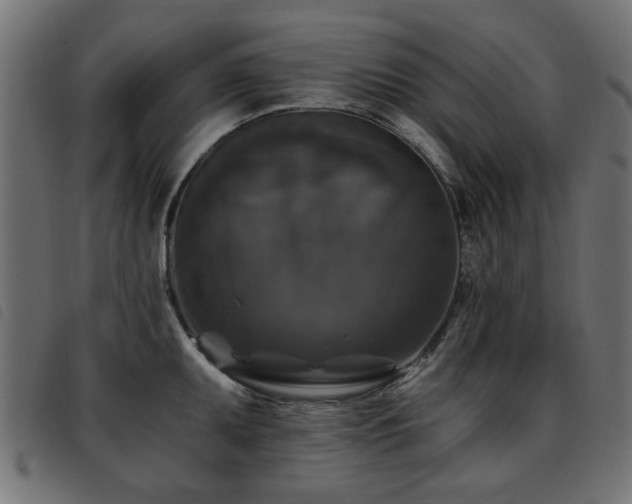 X0000093451095200710121349