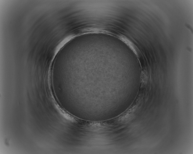 X0000093451098200710121349
