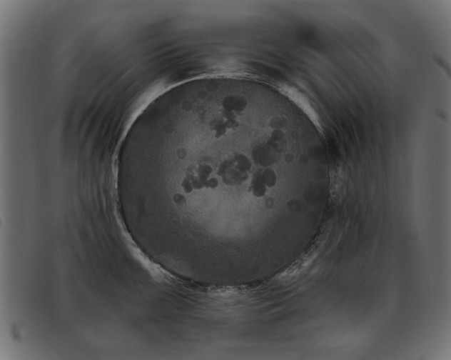 X0000093451099200710121349
