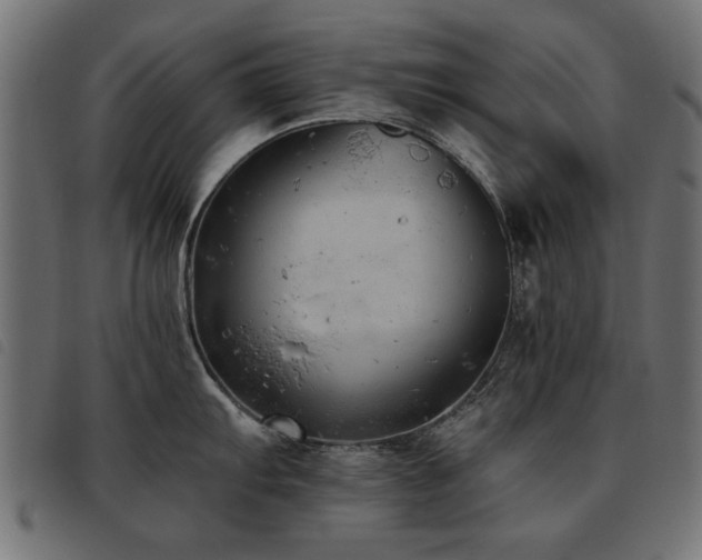 X0000093451103200710121349