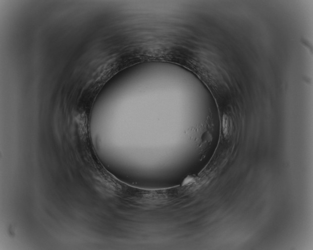 X0000093451107200710121348