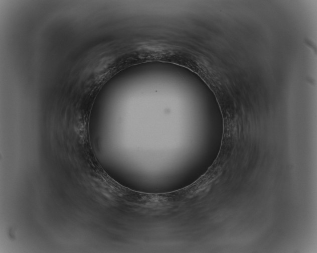 X0000093451109200710121348