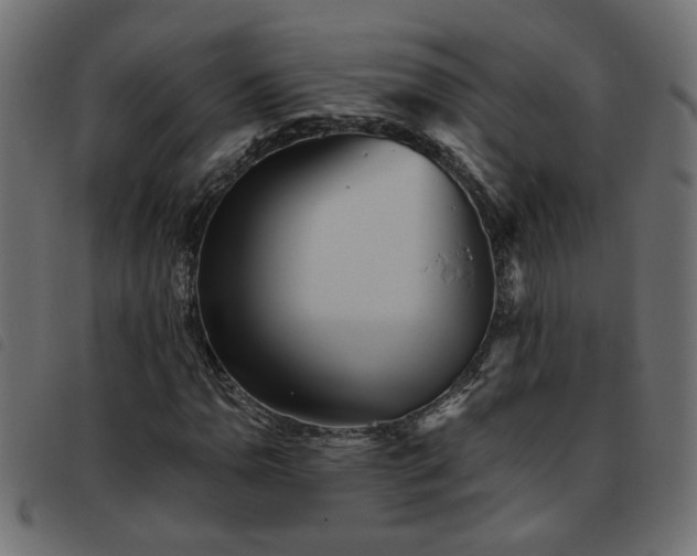 X0000093451110200710121348
