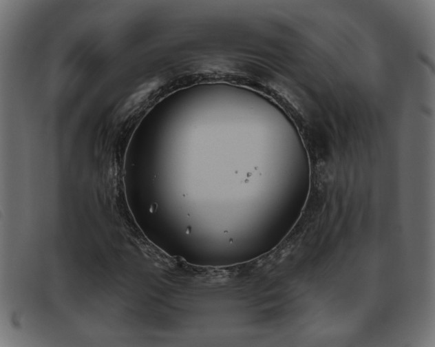 X0000093451111200710121348