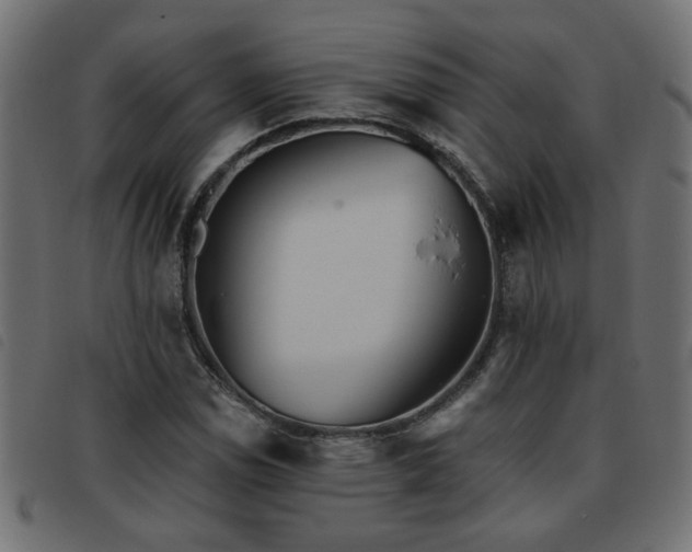 X0000093451114200710121348