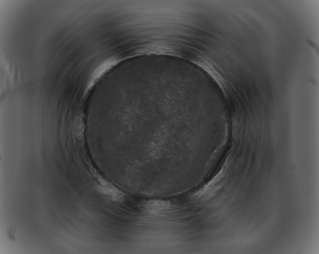X0000093451115200710121348