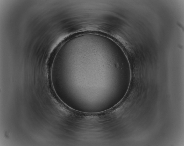 X0000093451118200710121348