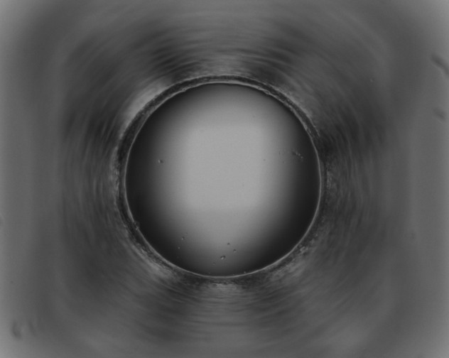 X0000093451119200710121348